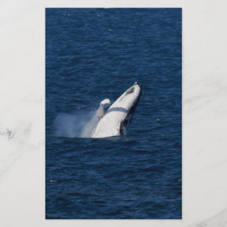 PAPIER REINE DE LA BALEINE HUMPBACÉE AUSTRALIE