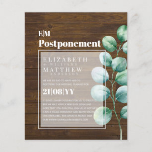 Papier Remplacement Éucalyptus Verdure Changement de plan