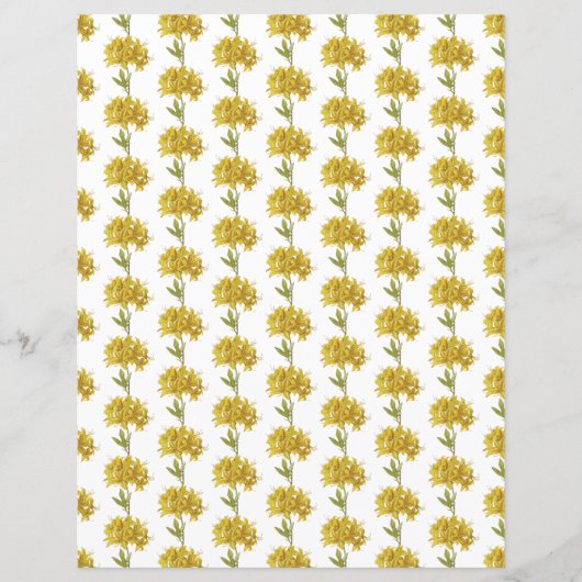 Papier Rhododendron luteum (Azalée Pontique) (Devant)