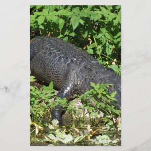 Papier Rivière Silver Alligator