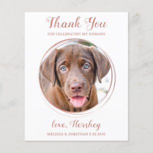 Papier Rose Budget Gold Pet photo Chien Mariage Merci