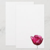 Papier rose de papeterie de tulipe (Devant / Derrière)