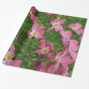 Papier rose d'emballage cadeau de cornouiller