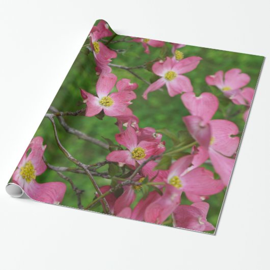 Papier rose d'emballage cadeau de cornouiller (Déroulé)