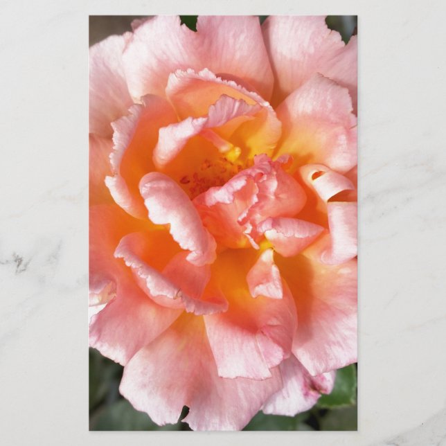 Papier rose en automne (Devant)