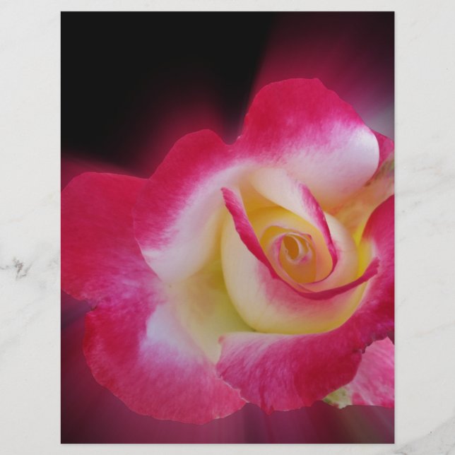 Papier rose jaune (Devant)