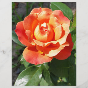 Papier rose jaune éclatante