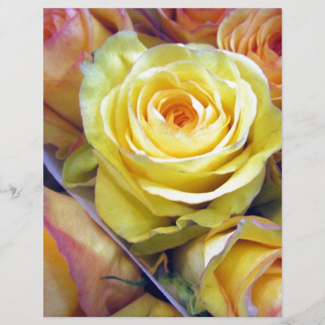 Papier Rose jaune et orange (Devant)