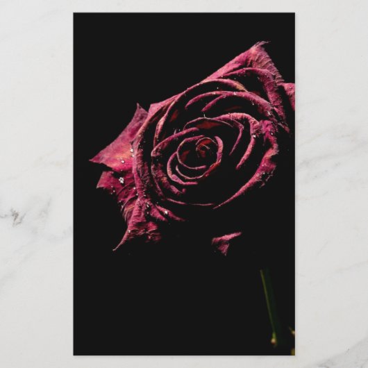 Papier rose noir (Devant)