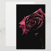 Papier rose noir (Devant / Derrière)