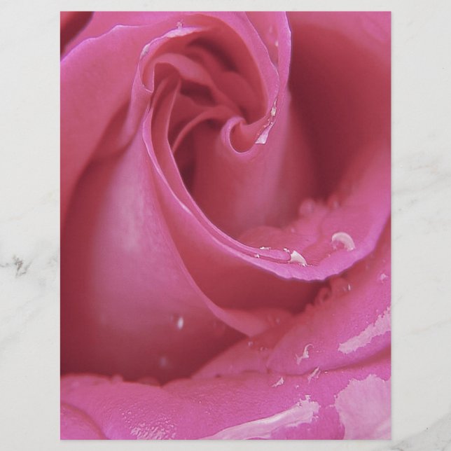 Papier Rose rose rose (Devant)