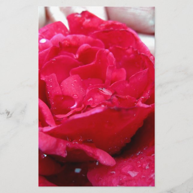 Papier Rose rouge (Devant)