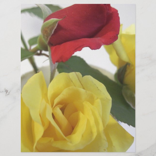Papier Roses jaunes et rouges (Devant)