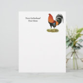 Papier Roster de Gamecock Wheaten (Debout devant)