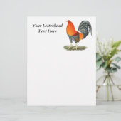 Papier Rouge bleu Gamecock (Debout devant)