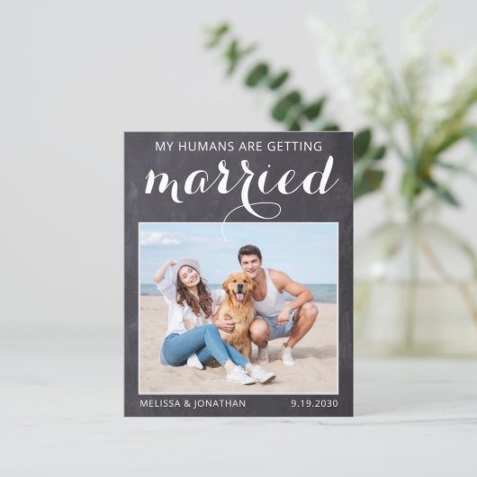 Papier Rustic Chien Mariage Photo Budget Enregistrer La C (Debout devant)