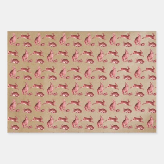 Papier Rustique Kraft Red Toile Deer Fox Hare Rabb (Devant 2)