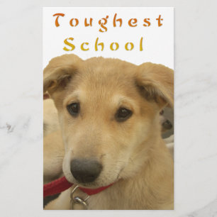 Papier Sagesse d'or : Une vision oeil de chien de l'école