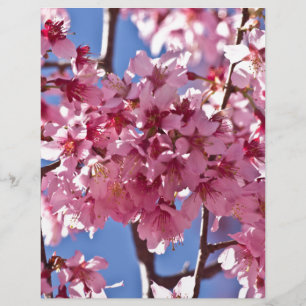 Papier Sakura Cherry Blossoms Red Stars