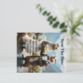 Papier **"Scellé avec un baiser : Otterly in Love"** (Debout devant)