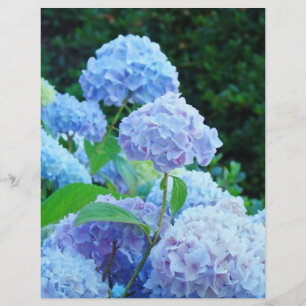 Papier ScrapBook fleur d'hortensia bleu d'été