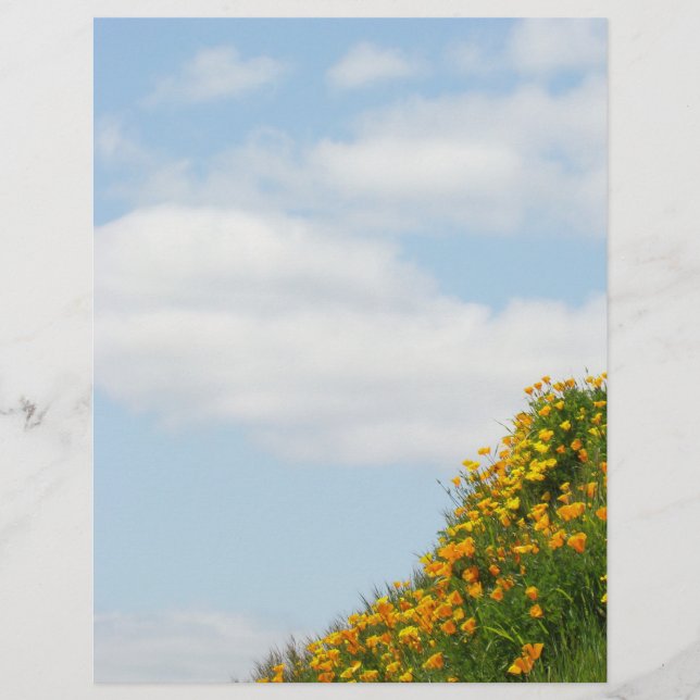 Papier scrapbooking Été Prairie Fleurs de pavot (Devant)