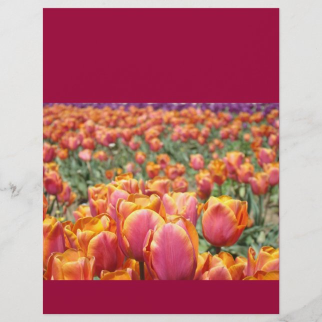 Papier scrapbooking Fête des Fleurs de Tulipes Col (Devant)