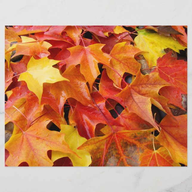 Papier scrapbooking feuilles d'automne Feuilles d' (Devant)