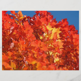 Papier scrapbooking feuilles d'automne Orange
