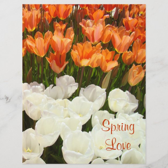 Papier scrapbooking Fleurs de Tulipe d'Amour de Pr (Devant)