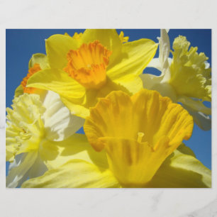Papier scrapbooking Fleurs Jaunes Jonquilles
