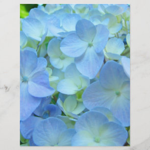 Papier scrapbooking thème floral Hydrangeas bleues
