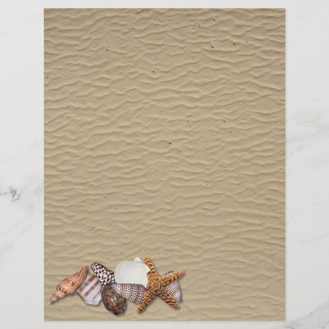 Papier Sea shells (Devant)