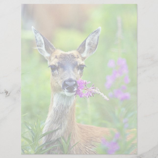 Papier Sitka Cerf à queue noire avec des mauvaises herbes (Devant)