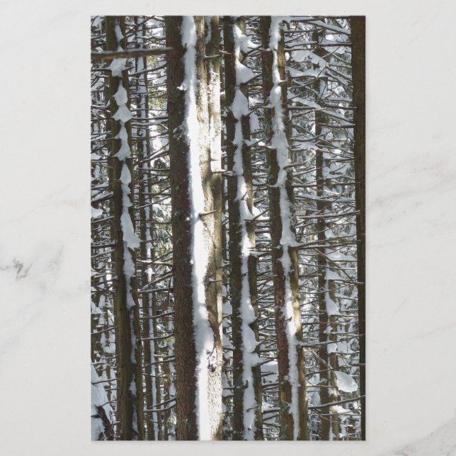 Papier Snowy Fir Tree (Devant)