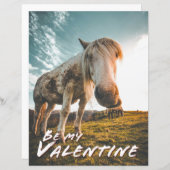 Papier Sois mon Valentin avec cheval regardant (Devant / Derrière)