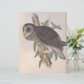 Papier Sooty Owl (Debout devant)