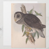 Papier Sooty Owl (Devant / Derrière)