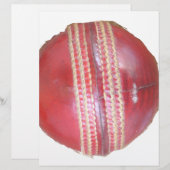Papier Spin Master's Sphere : Une balle de cricket à gauc (Devant / Derrière)