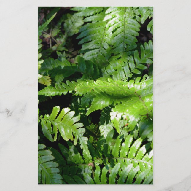 Papier Spring Green Ferns végétation botanique tropicale (Devant)