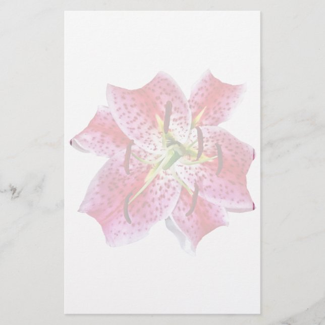 Papier Stargazer Lily Closeup (Devant)