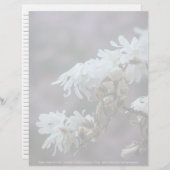 Papier Starry Magnolia (Devant / Derrière)