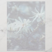 Papier Starry Magnolia (Devant)