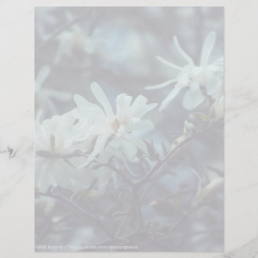 Papier Starry Magnolia (Devant)