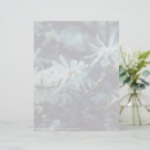 Papier Starry Magnolia (Debout devant)