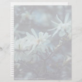 Papier Starry Magnolia (Devant / Derrière)