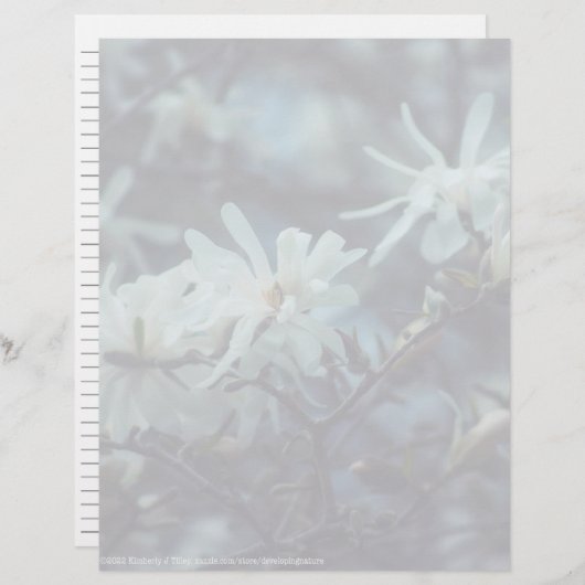Papier Starry Magnolia (Devant / Derrière)