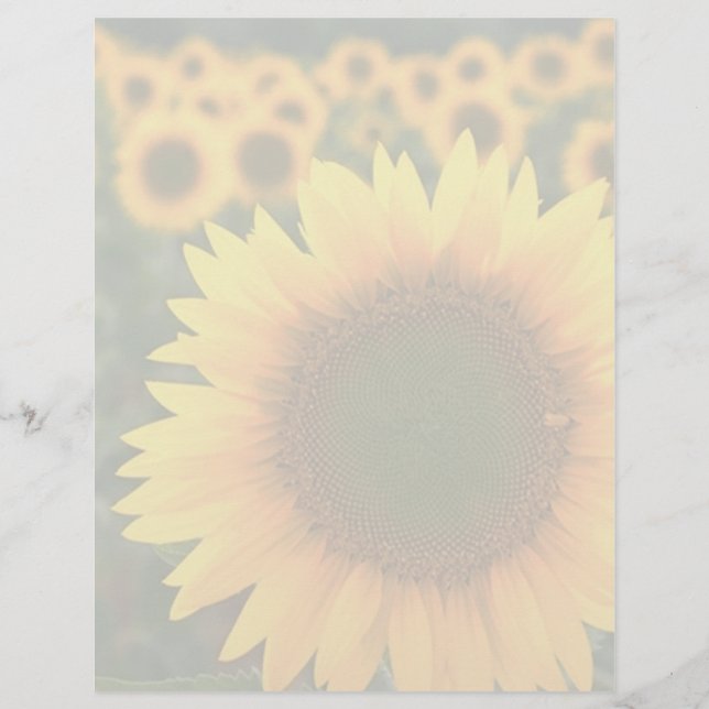 Papier Sunflower 2 (Devant)