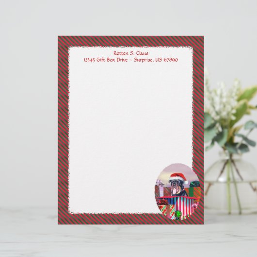 Papier Surprise de Noël Rottweiler (Debout devant)