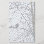 Papier Surveillance (Devant)